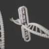 Human Dna Genetic Cytosine I Motif  - PixiMe01 / Pixabay