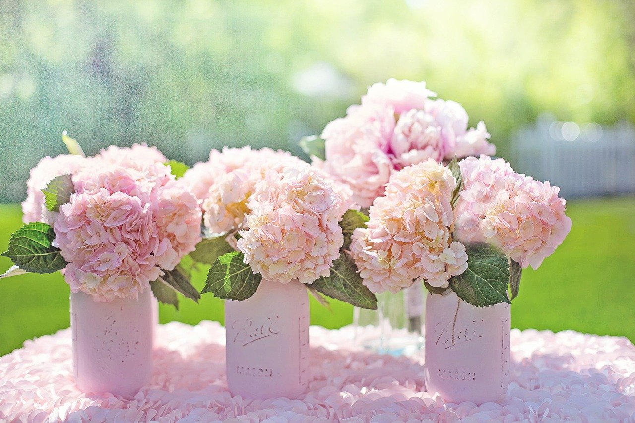 Hydrangeas Pink Hydrangeas Bouquets - JillWellington / Pixabay