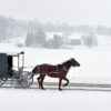 carriage travelling on snow