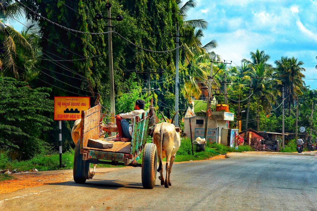 India Ox Beef Travel Cart  - Tho-Ge / Pixabay