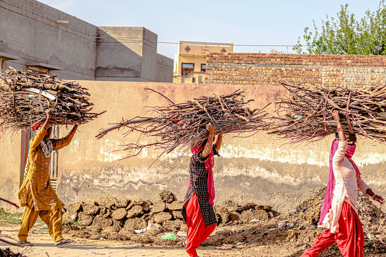 India Women Work Working Village  - SwastikArora / Pixabay