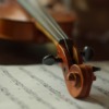 Instrument Music Violin Tool  - santarina81 / Pixabay