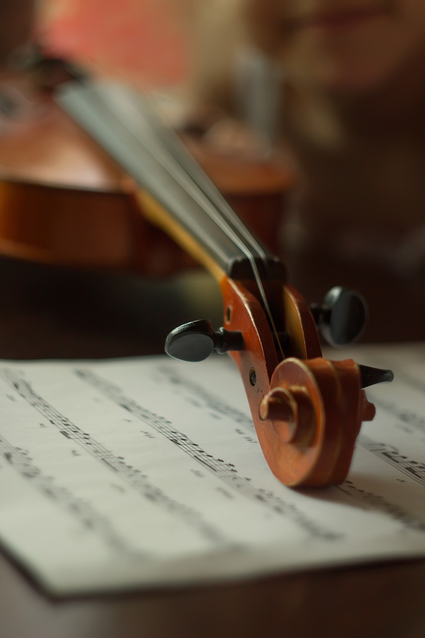Instrument Music Violin Tool  - santarina81 / Pixabay