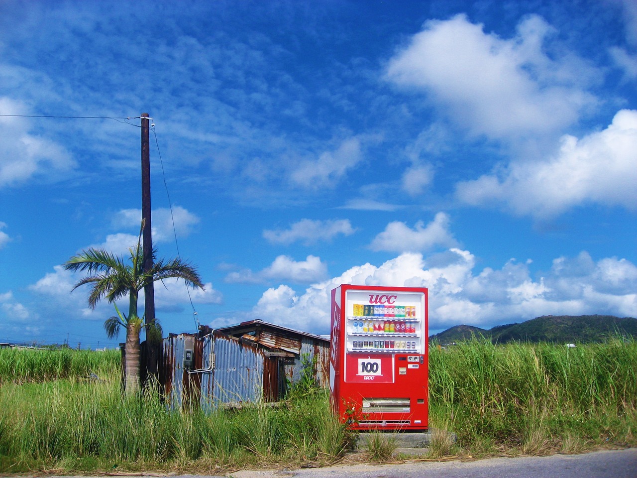 Ishigaki Island Blue Sky  - auntmasako / Pixabay