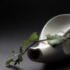 Ivy Vase Still Life Vine Ranke  - Peggychoucair / Pixabay
