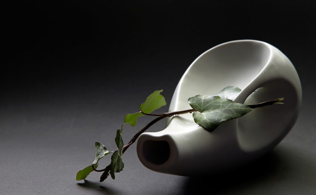 Ivy Vase Still Life Vine Ranke  - Peggychoucair / Pixabay