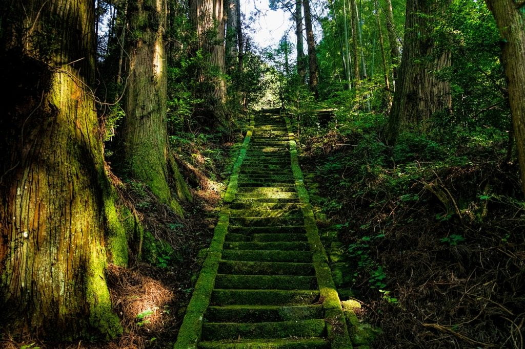 Japan Aso Shrine Stairs Moss  - DeltaWorks / Pixabay