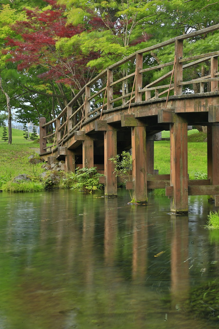 Japan Bridge Parkland Trees Autumn  - marinacath / Pixabay