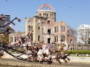 Japan Hiroshima Cherry Blossoms  - neil137 / Pixabay