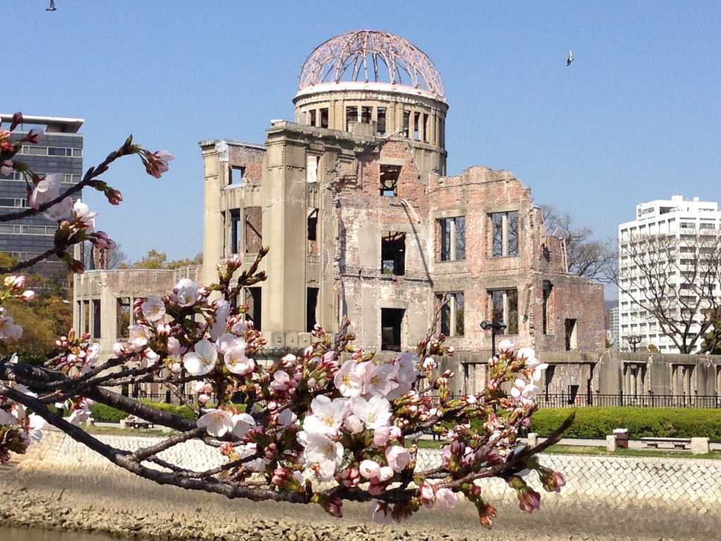 Japan Hiroshima Cherry Blossoms  - neil137 / Pixabay