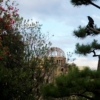 Japan Hiroshima Dome Crow Dark  - purrlicious / Pixabay