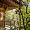 Japan Landscape Natural Outdoor  - shell_ghostcage / Pixabay