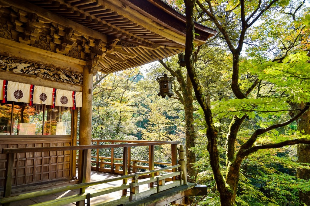 Japan Landscape Natural Outdoor  - shell_ghostcage / Pixabay