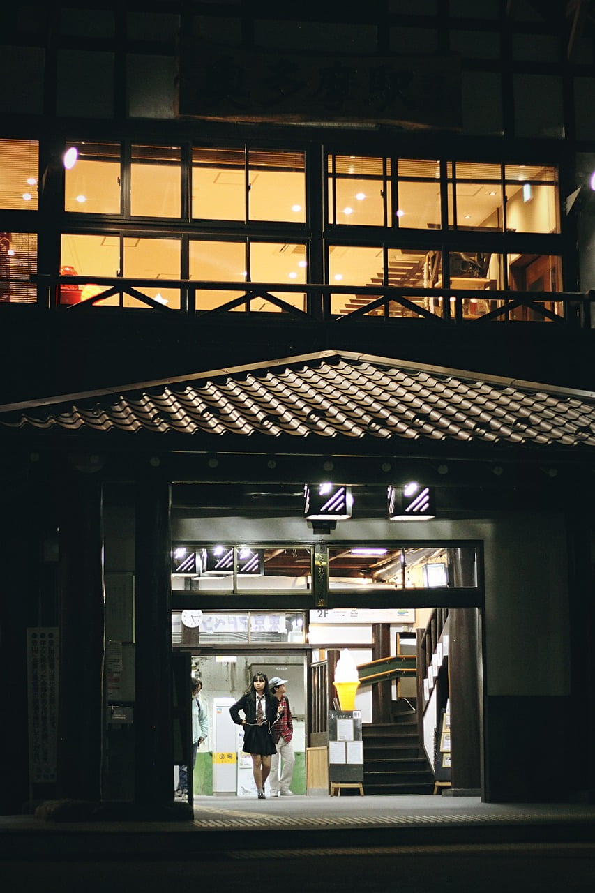 Japan Station Tokyo Train City - Vcentee / Pixabay