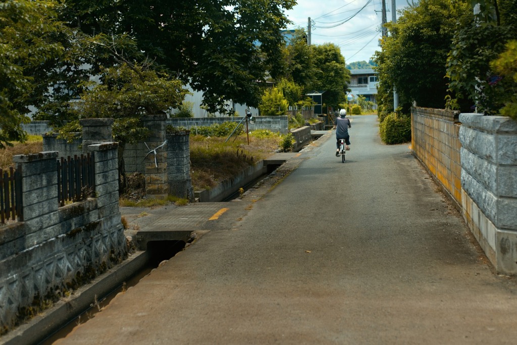 Japan Street Bicycle Road Urban  - dep377 / Pixabay