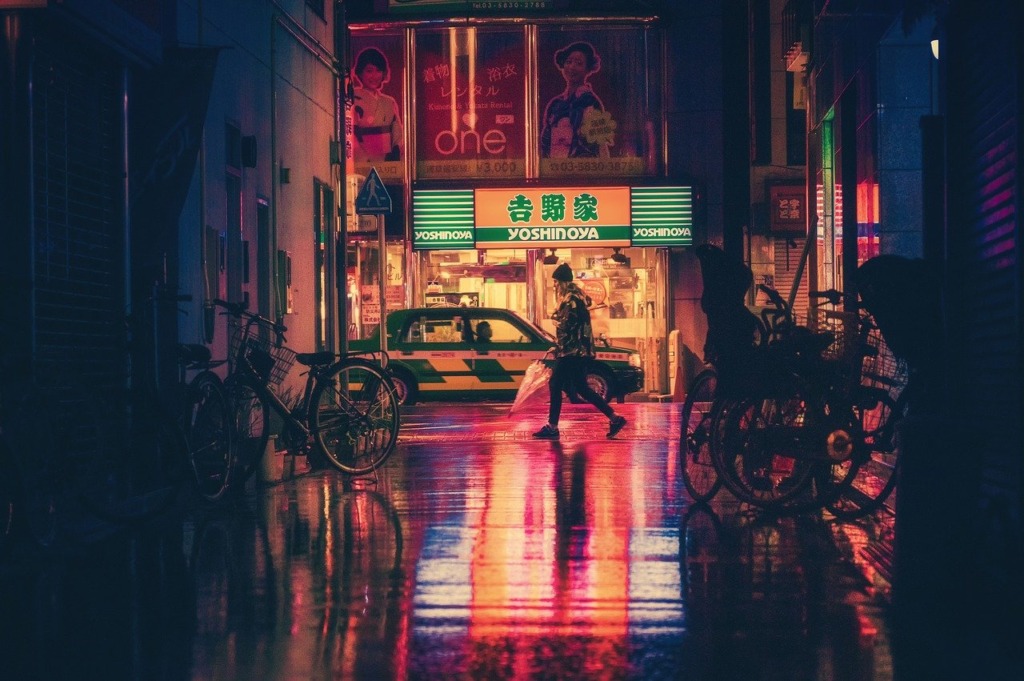 Japan Street Night Osaka Asia  - MasashiWakui / Pixabay