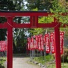 Japan Torii Shrine Asia Religion  - dep377 / Pixabay