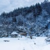 Japan Winter Four Seasons Snow  - ara0w0ara / Pixabay