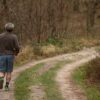 Jogging Trail Forest Man Adult  - sabinevanerp / Pixabay