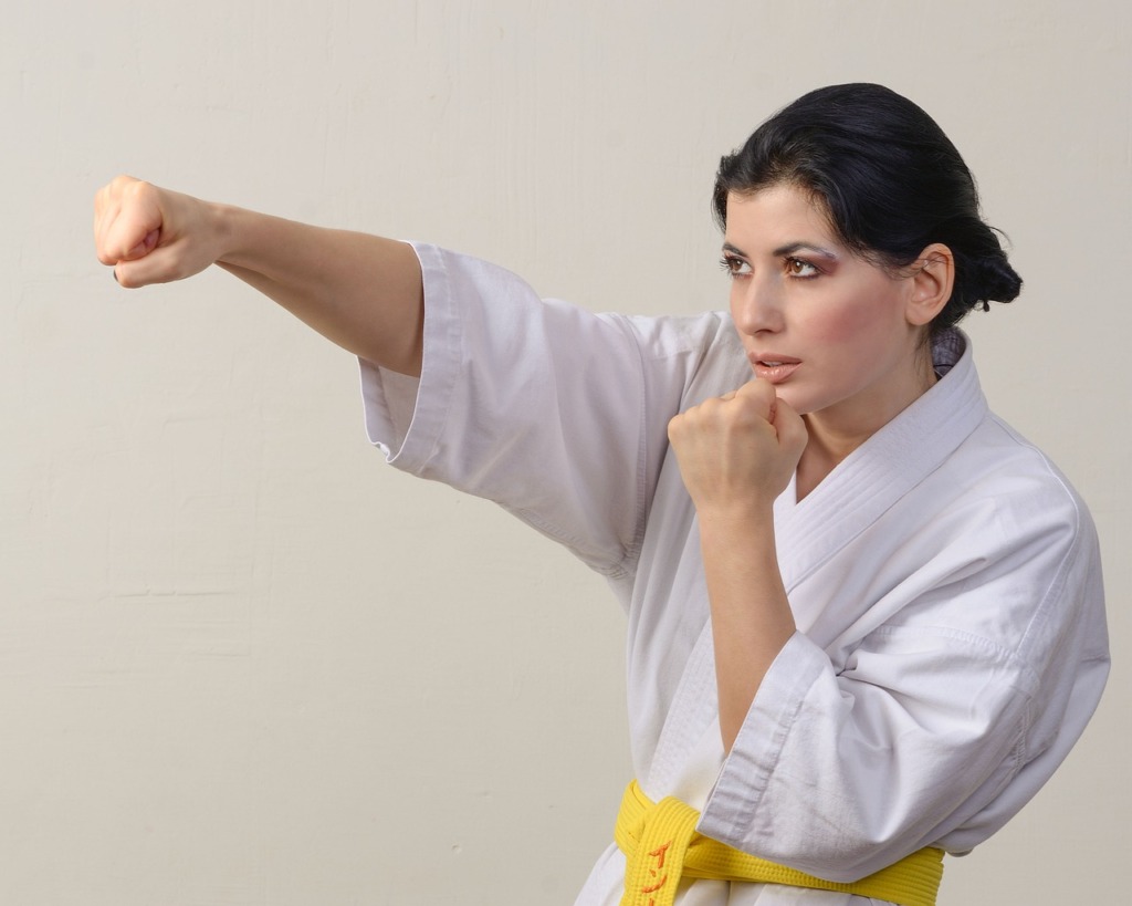 Karate Kick Sport Judo Sports  - innamykytas / Pixabay