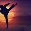 Karate Sun Mountain Sunset Fight  - geralt / Pixabay