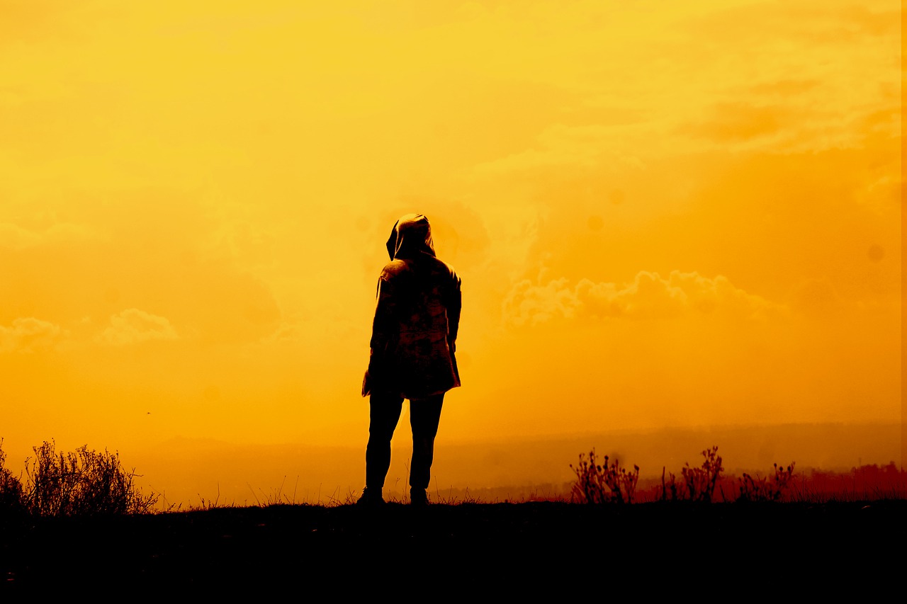 Kashmir Man Yellow Landscape  - Kashmir_clicks / Pixabay