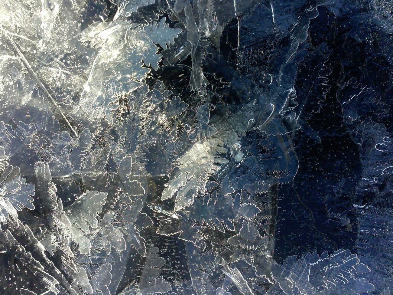 black and white abstract painting