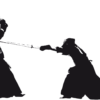 Kendo Engraving Shock Tsuki Fight  - danceyokoo / Pixabay