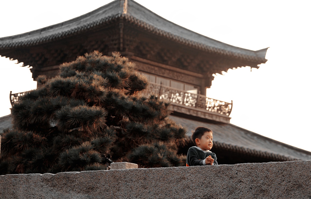 Kid Asia Childhood Boy Portrait  - zhangliams / Pixabay