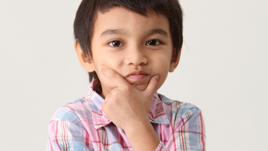 Kid Boy Portrait Child Posing  - SAM-RIZ44 / Pixabay