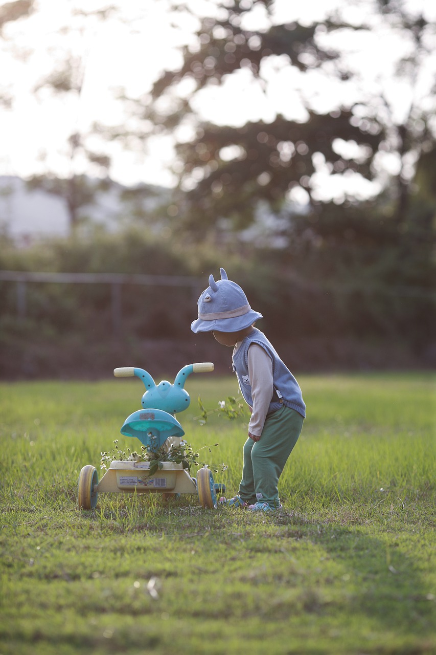 Kid Child Tricycle Happy Baby - Hainguyen1982 / Pixabay
