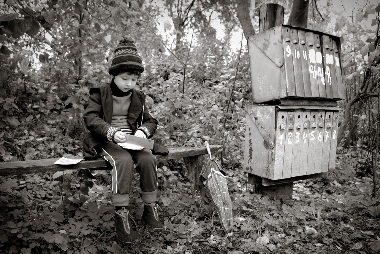 Kid Childhood Retro Monochrome Boy  - Victoria_Borodinova / Pixabay