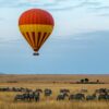red and yellow hot air balloon over field with zebras