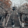 Kyoto Japan Travel Spring Stairs  - castlefilm / Pixabay