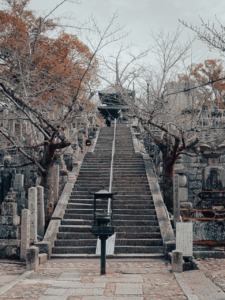 Kyoto Japan Travel Spring Stairs  - castlefilm / Pixabay