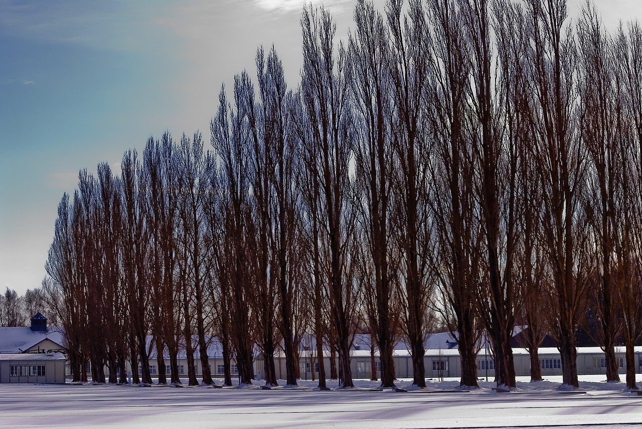 Kz Dachau Memorial  - JordanHoliday / Pixabay