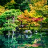 Lake Maple Tree Forest Garden  - GPoulsen / Pixabay