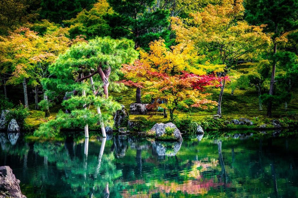 Lake Maple Tree Forest Garden  - GPoulsen / Pixabay