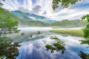 Lake Mountain Fog Reflection  - KANENORI / Pixabay