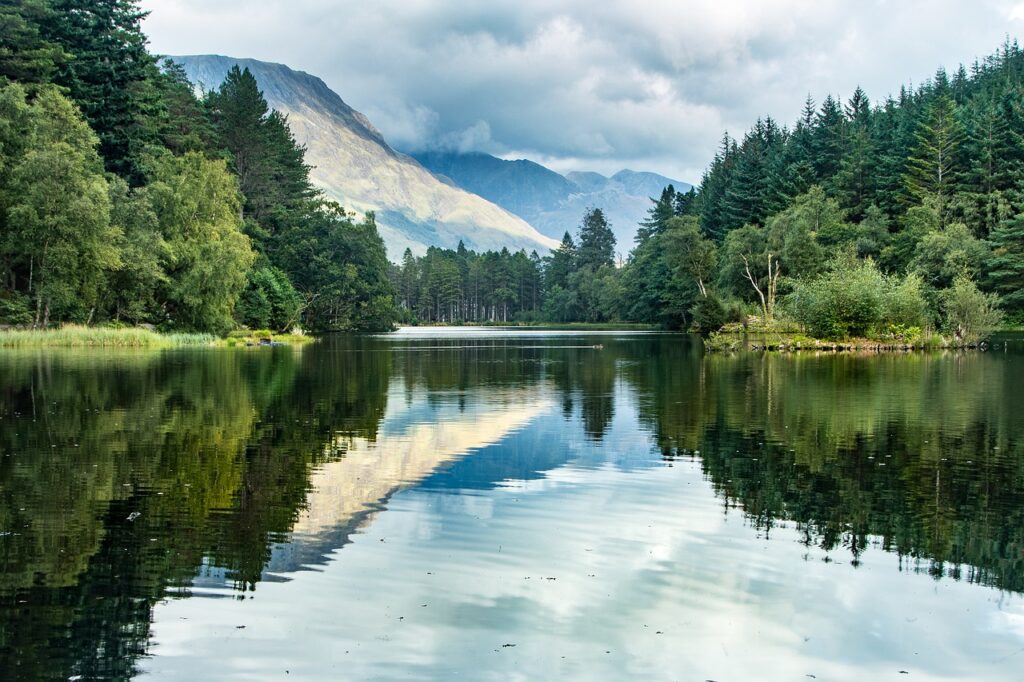 Lake Trees Forest Mountains Lochan  - tanpoposan / Pixabay