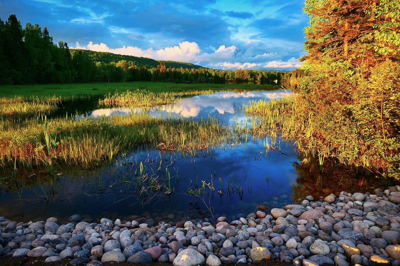 Lake Trees Marsh Wetland Sky  - AlainAudet / Pixabay