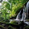 Landscape A Small Waterfall  - Kanenori / Pixabay