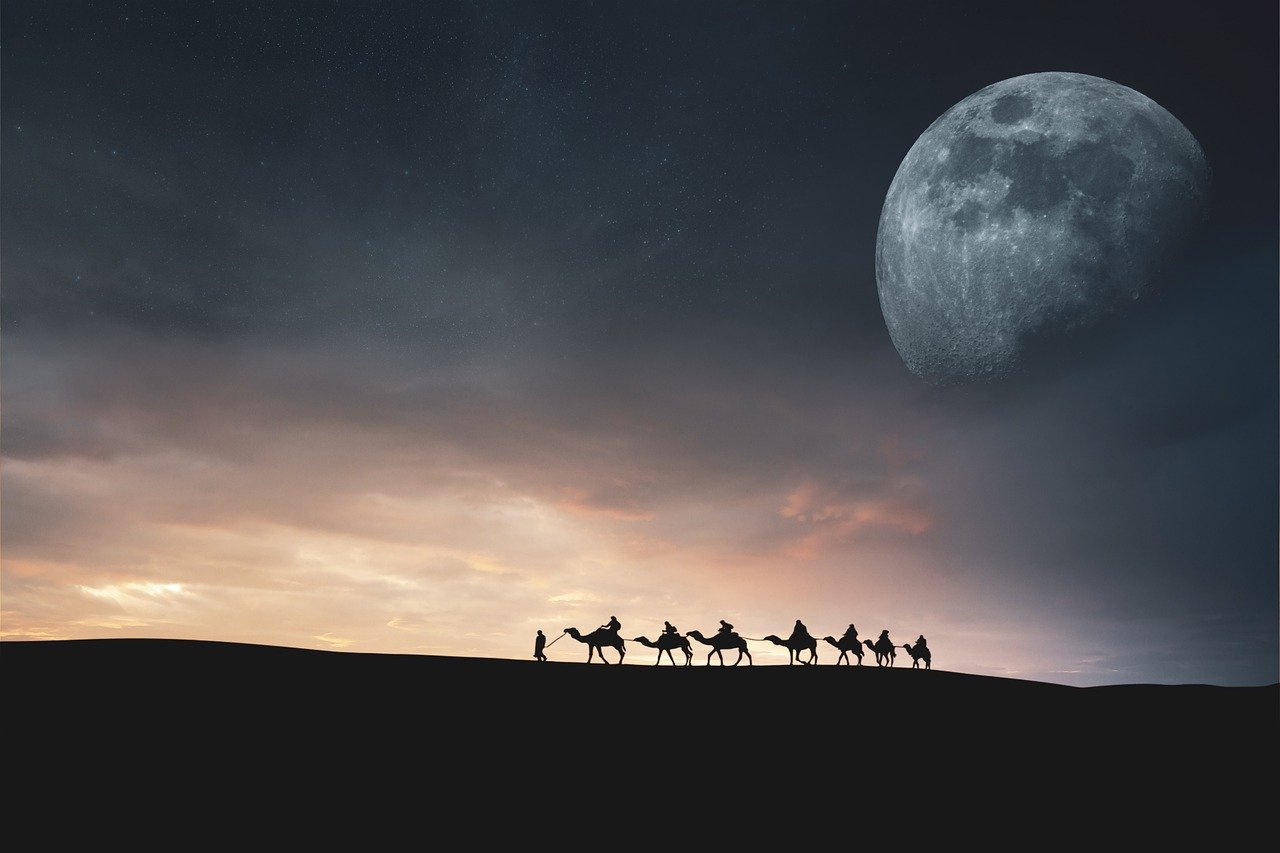 Landscape Desert Camels Moon Night - ELG21 / Pixabay