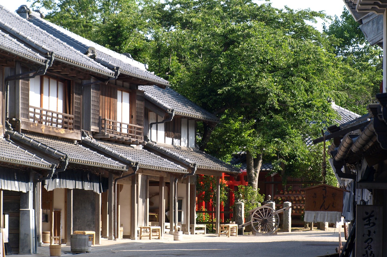Landscape History Era Edo Period  - SichiRi / Pixabay