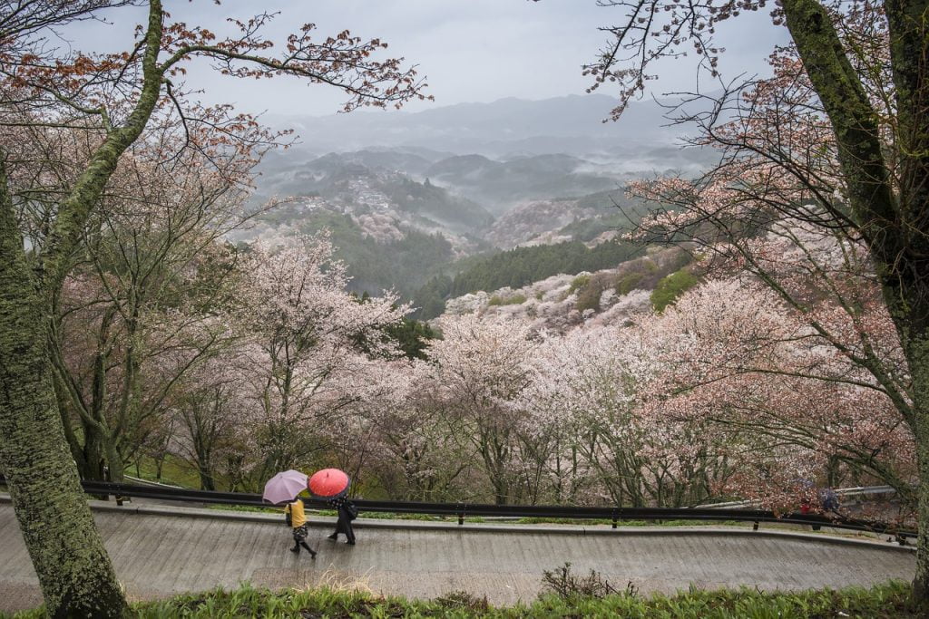 Landscape Japan Nara Prefecture  - Kanenori / Pixabay