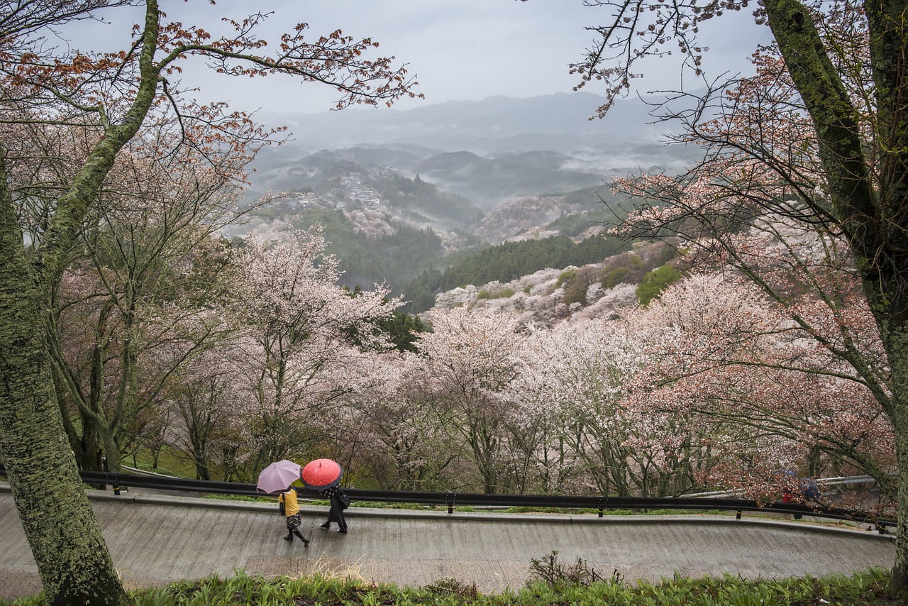 Landscape Japan Nara Prefecture  - Kanenori / Pixabay