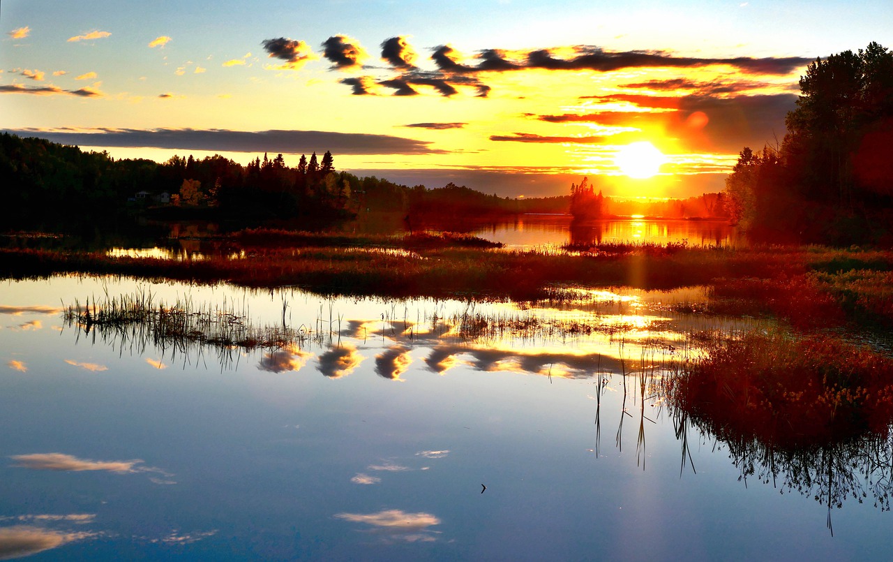 Landscape Nature Environment  - AlainAudet / Pixabay