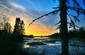 Landscape Nature Trees Ice Thaw  - AlainAudet / Pixabay