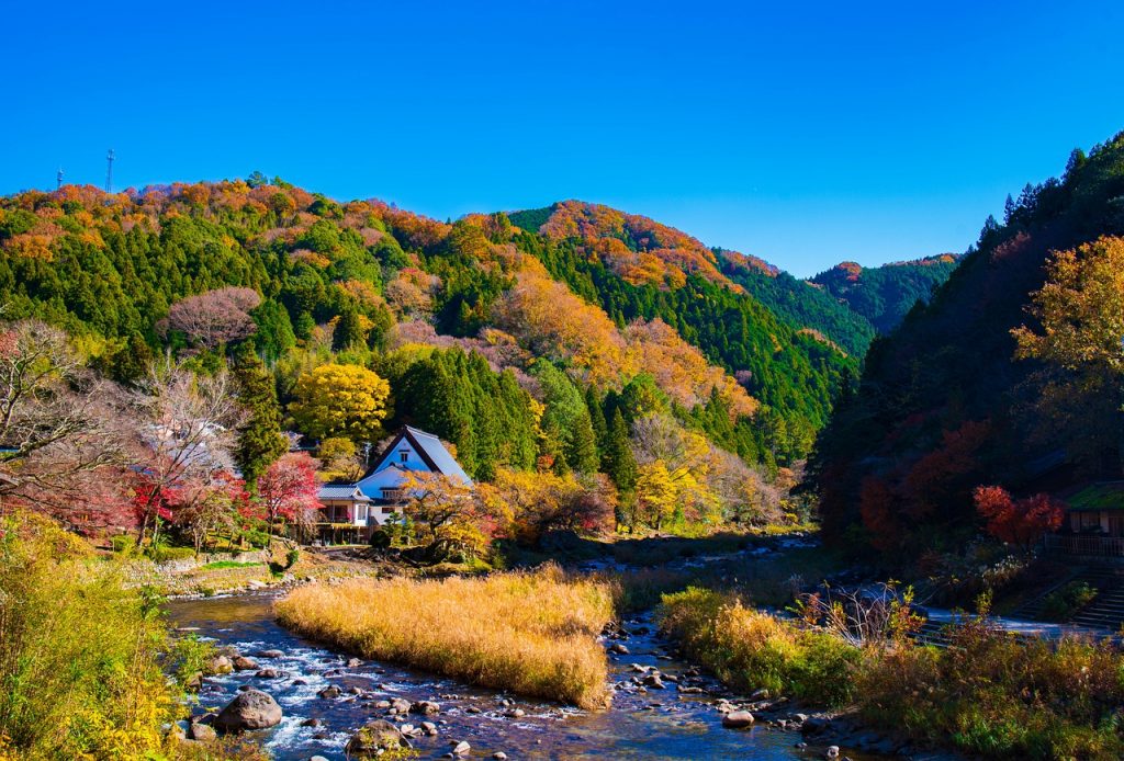 Landscape Valley Japan Nikon  - VictorNakamura / Pixabay