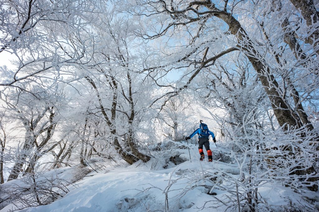 Landscape Winter Mountain Rime  - Kanenori / Pixabay